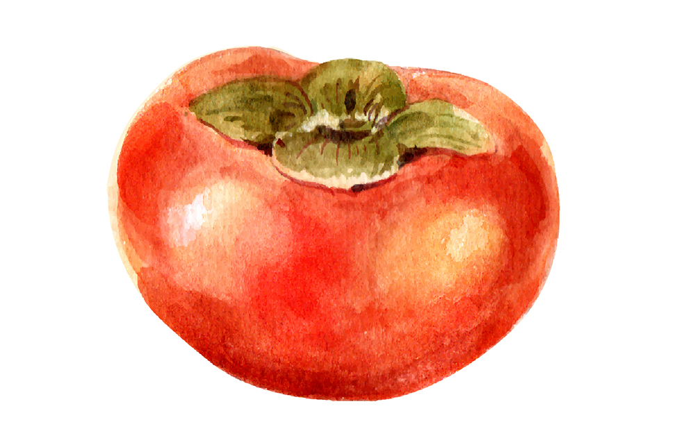 精致文艺水彩画手绘感觉系列水果插画插图