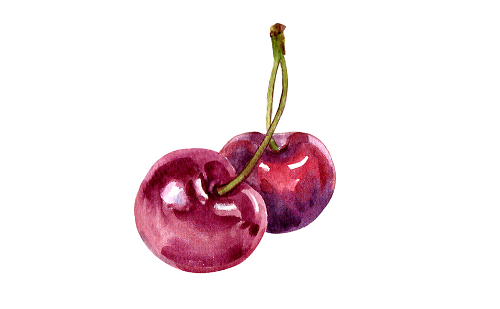 精致文艺水彩画手绘感觉系列水果插画插图