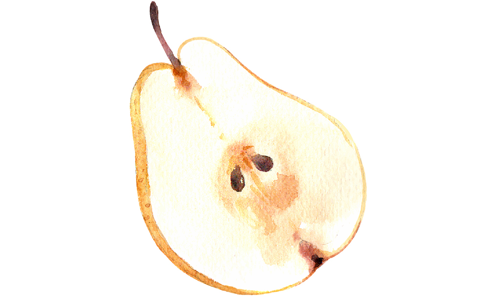 精致文艺水彩画手绘感觉系列水果插画插图