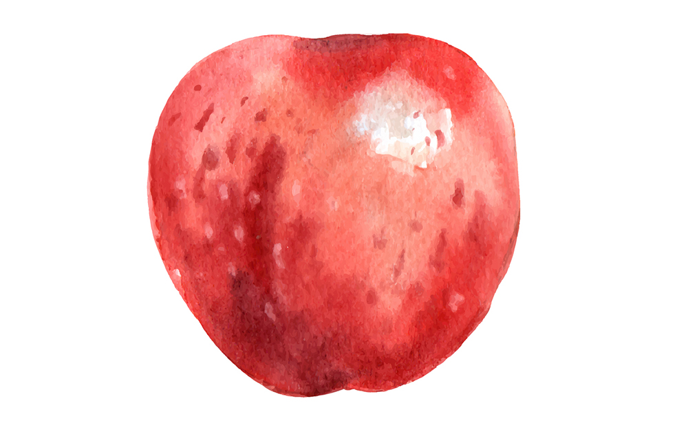 精致文艺水彩画手绘感觉系列水果插画插图