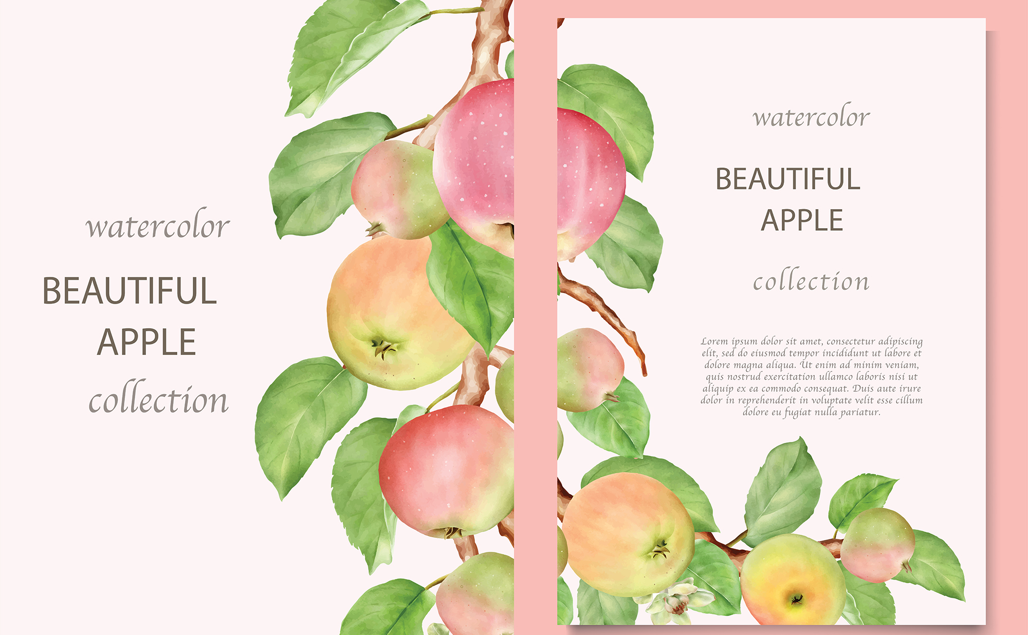 效果逼真的苹果手绘插画图