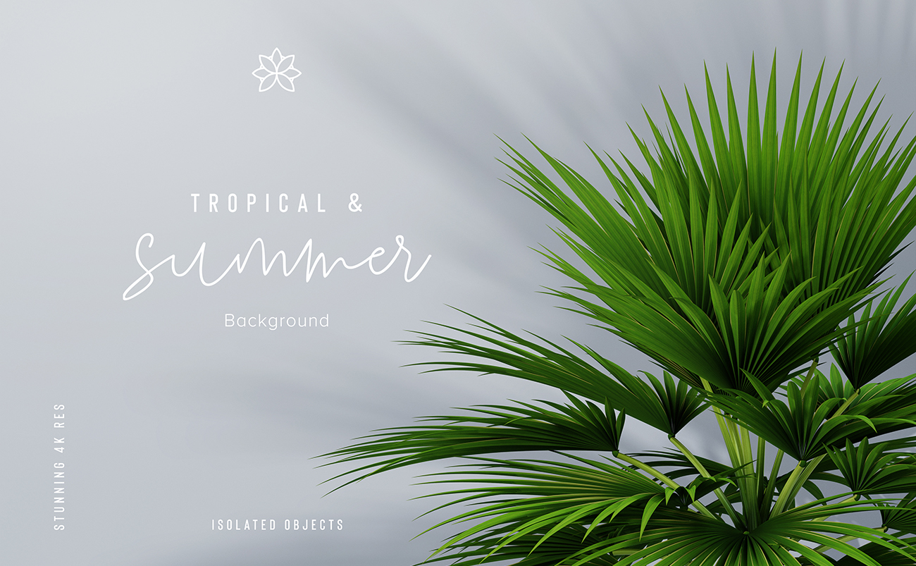 热带绿色叶子植物样机效果图