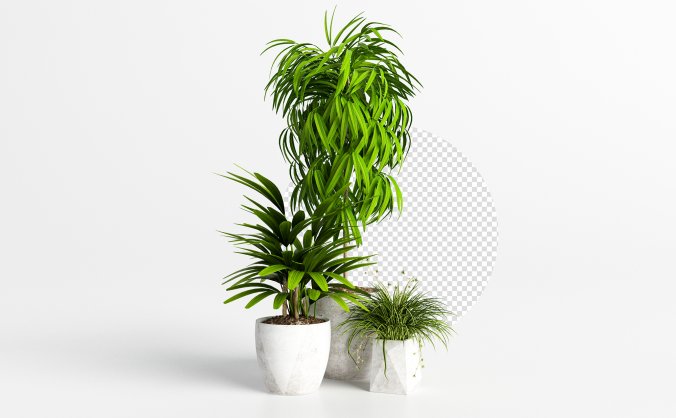 绿色热带叶子的植物局部透明免抠PNG素材