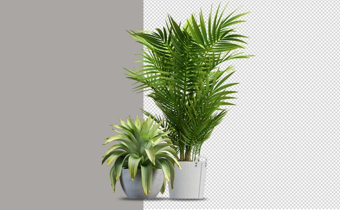 绿色热带叶子的植物局部透明免抠PNG素材