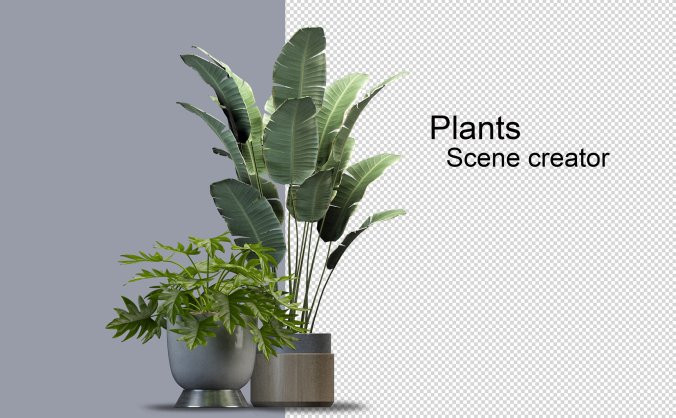 绿色热带叶子的植物局部透明免抠PNG素材