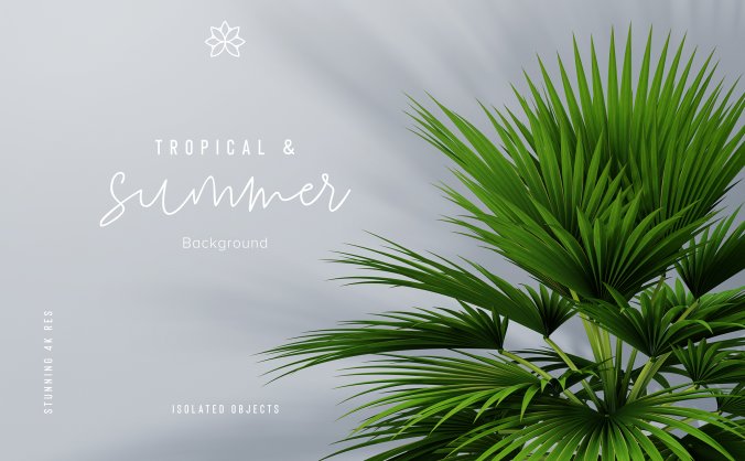 热带绿色叶子的植物局部透明免抠PNG素材