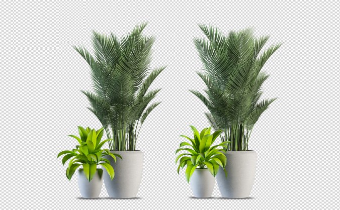 两盆绿色热带叶子的植物局部透明免抠PNG素材