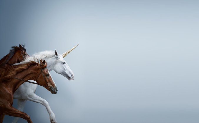 一组奔跑的骏马透明PNG免抠素材