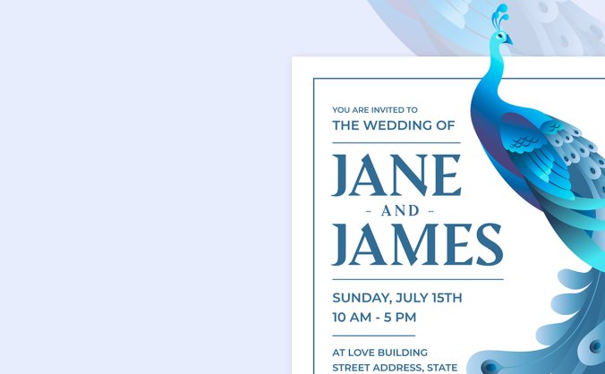 优雅的孔雀插画