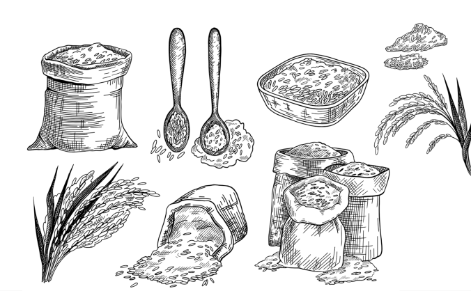 麻袋和碗中的大米水稻米粒黑白素描集