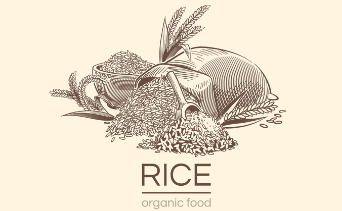 2组大米黑白风格矢量插画