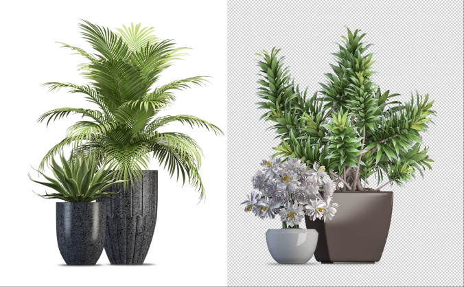 4组盆栽绿色植物PSD分层高清源文件