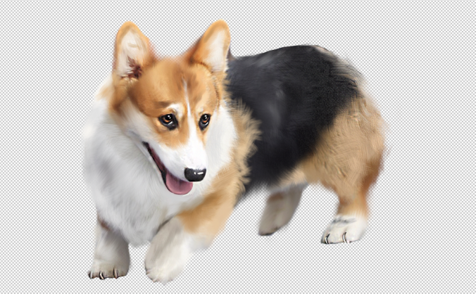 柯基犬PNG透明免抠元素