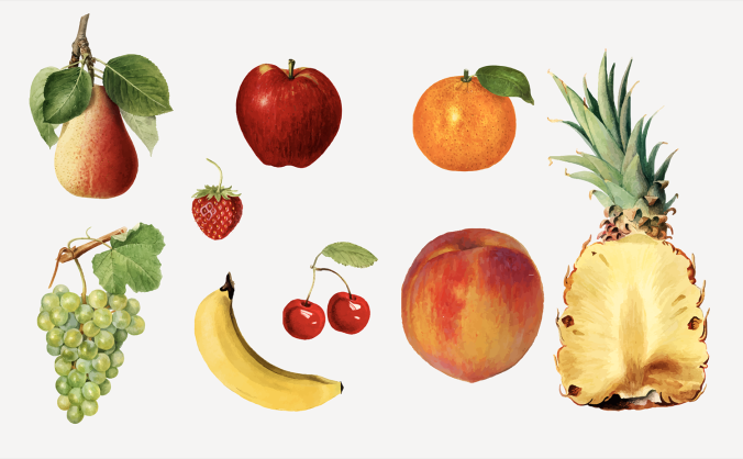 手绘风格水果系列插画插图