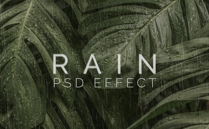 逼真雨滴效果叠加热带雨林叶子PSD特效源文件