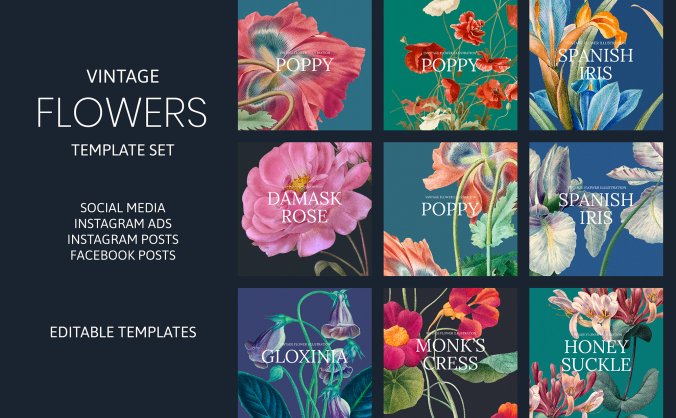 一组复古典雅风格的花卉插图