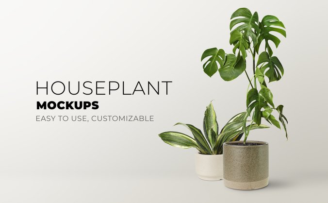 室内绿植分层PSD背景素材