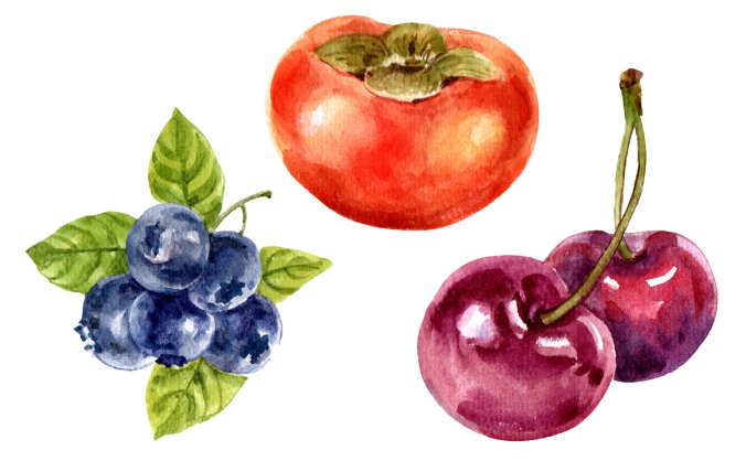 精致文艺水彩画手绘感觉系列水果插画插图