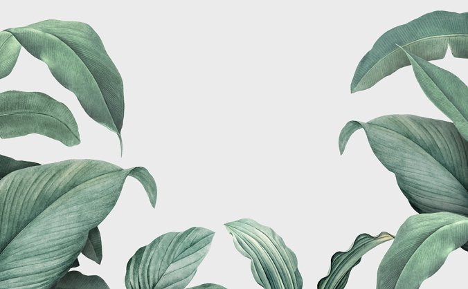 热带绿植边框背景素材