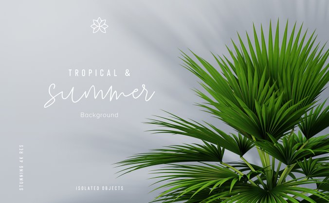 热带绿色叶子植物样机效果图