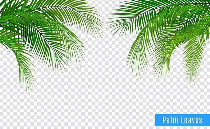 热带绿色叶子装饰元素矢量背景