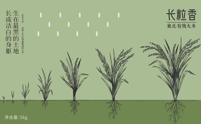 绿色大米包装设计文件