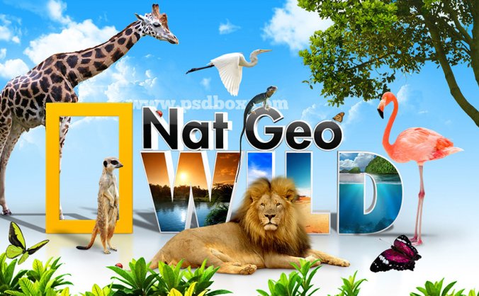 国家地理之野生动物世界PSD